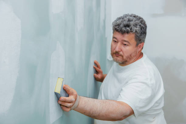 Best Airborne Mold Testing  in Southwest Sandhill, TX